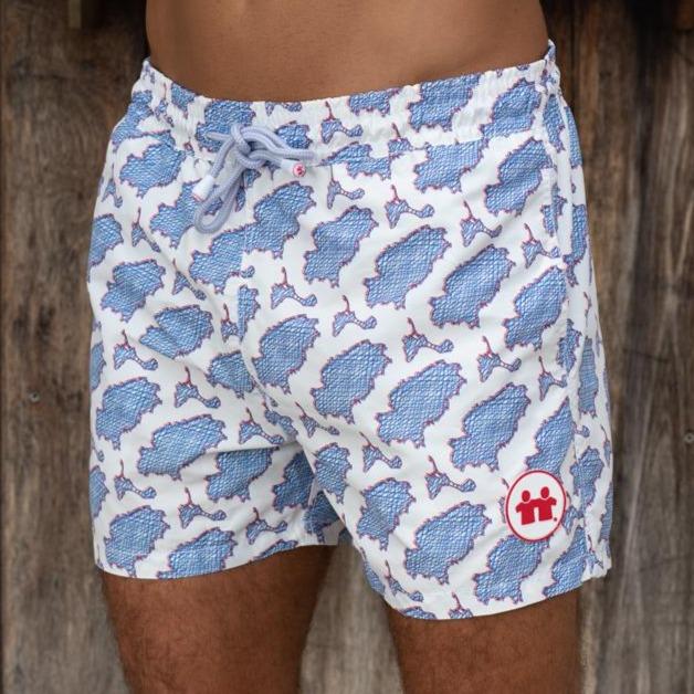 Front View of Blue White  Pattern Swim Trunks