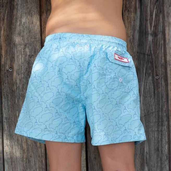 "Island Lines" Swim Trunks (Boys) : Sky/Blue