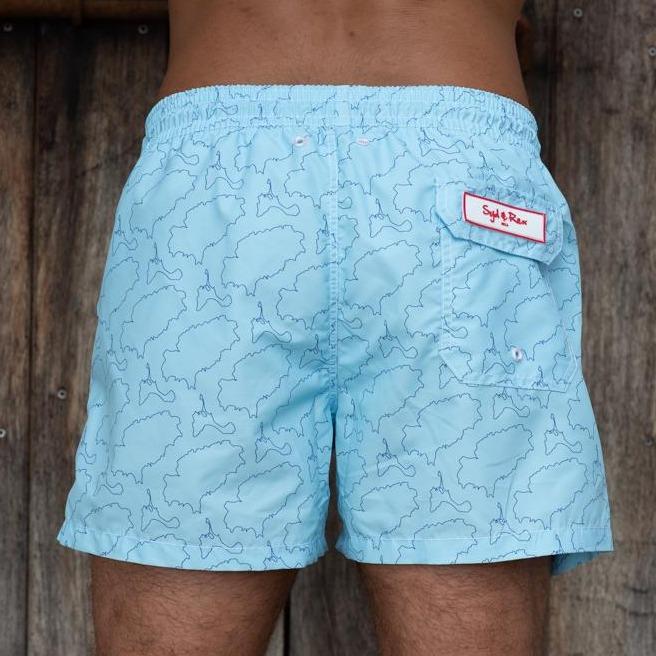 Syd & Rex Island Lines men's swim trunks in Sky/Blue — back view showing print detail