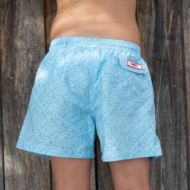 Syd & Rex Island Lines boys' swim trunks in Sky/Blue — back view showing print detail