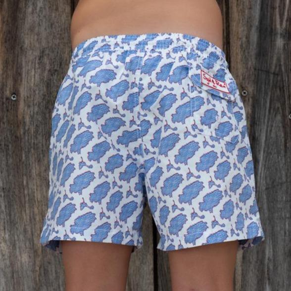 Syd & Rex Island Scribble boys' swim trunks in Blue — back view showing print detail